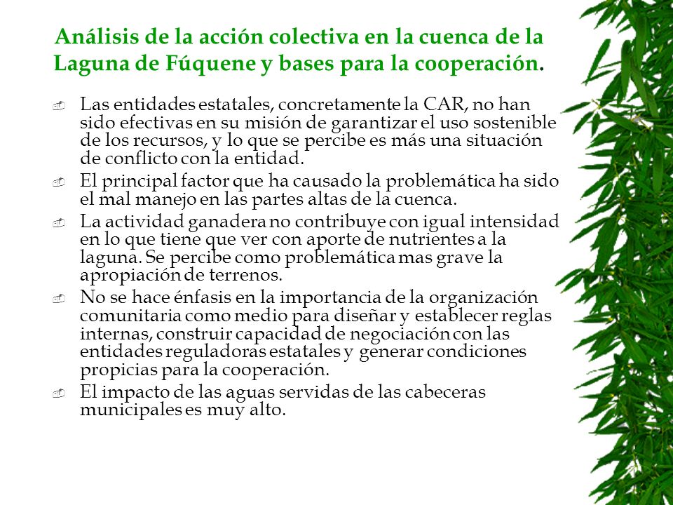 Análisis de la acción colectiva en la cuenca de la Laguna de Fúquene y bases para la cooperación.