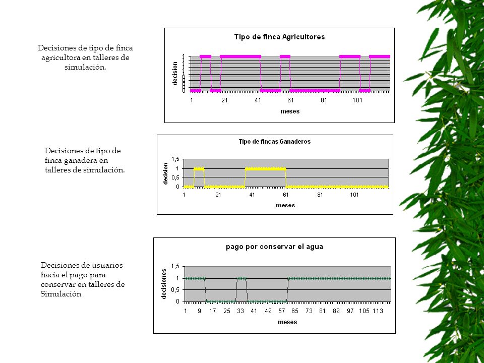 Decisiones de tipo de finca agricultora en talleres de simulación.
