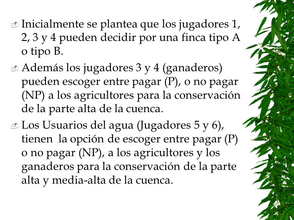 Inicialmente se plantea que los jugadores 1, 2, 3 y 4 pueden decidir por una finca tipo A o tipo B.