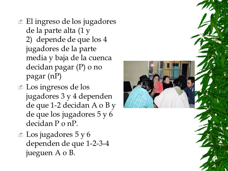 El ingreso de los jugadores de la parte alta (1 y 2) depende de que los 4 jugadores de la parte media y baja de la cuenca decidan pagar (P) o no pagar (nP)