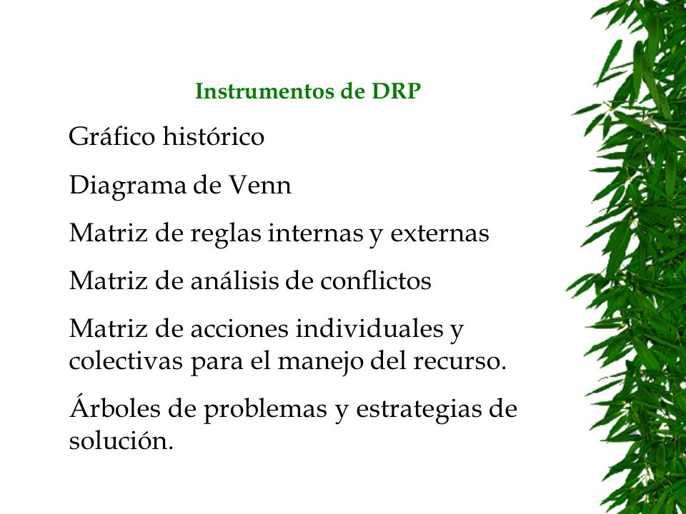 Matriz de reglas internas y externas Matriz de análisis de conflictos