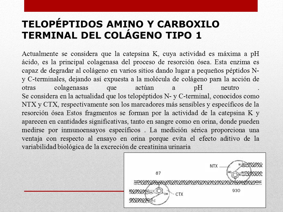 TELOPÉPTIDOS AMINO Y CARBOXILO TERMINAL DEL COLÁGENO TIPO 1