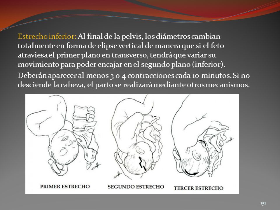 Estrecho inferior: Al final de la pelvis, los diámetros cambian totalmente en forma de elipse vertical de manera que si el feto atraviesa el primer plano en transverso, tendrá que variar su movimiento para poder encajar en el segundo plano (inferior).