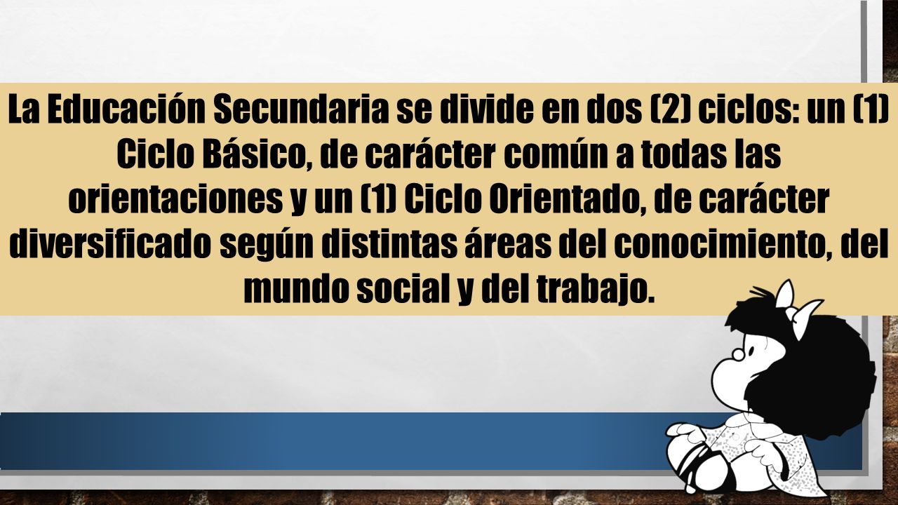 La Educación Secundaria se divide en dos (2) ciclos: un (1) Ciclo Básico, de carácter común a todas las orientaciones y un (1) Ciclo Orientado, de carácter diversificado según distintas áreas del conocimiento, del mundo social y del trabajo.