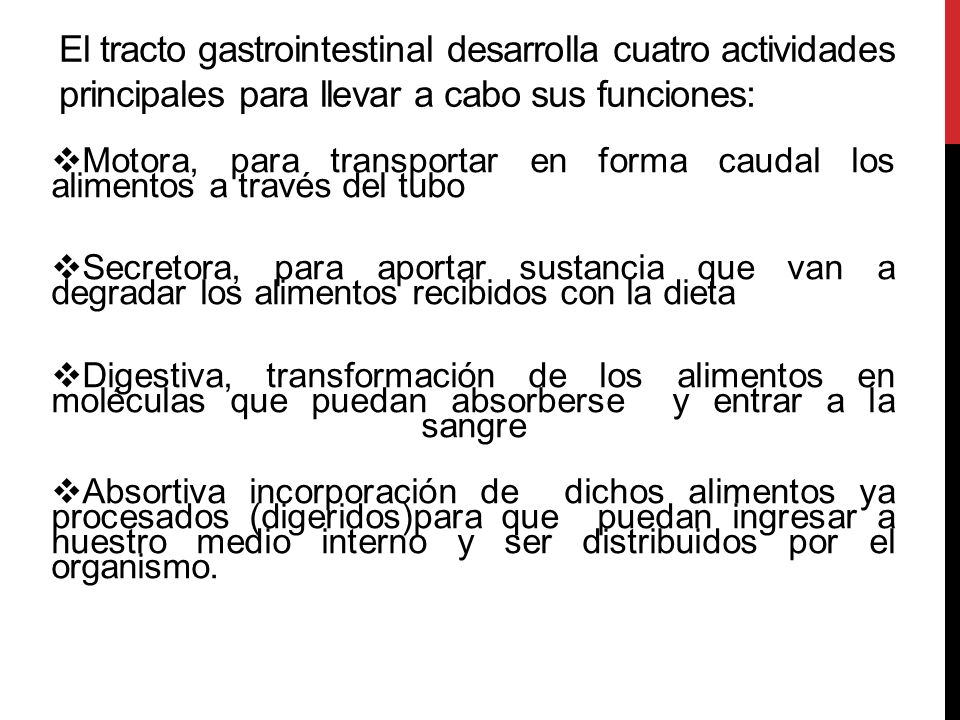El tracto gastrointestinal desarrolla cuatro actividades principales para llevar a cabo sus funciones: