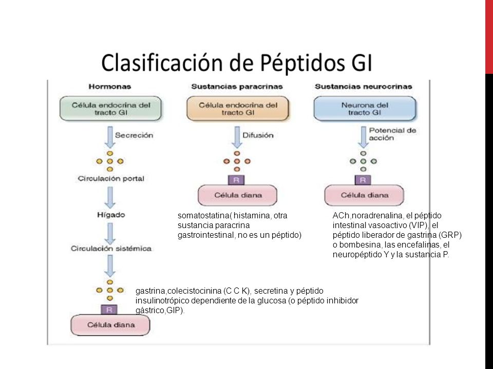 somatostatina( histamina, otra sustancia paracrina gastrointestinal, no es un péptido)