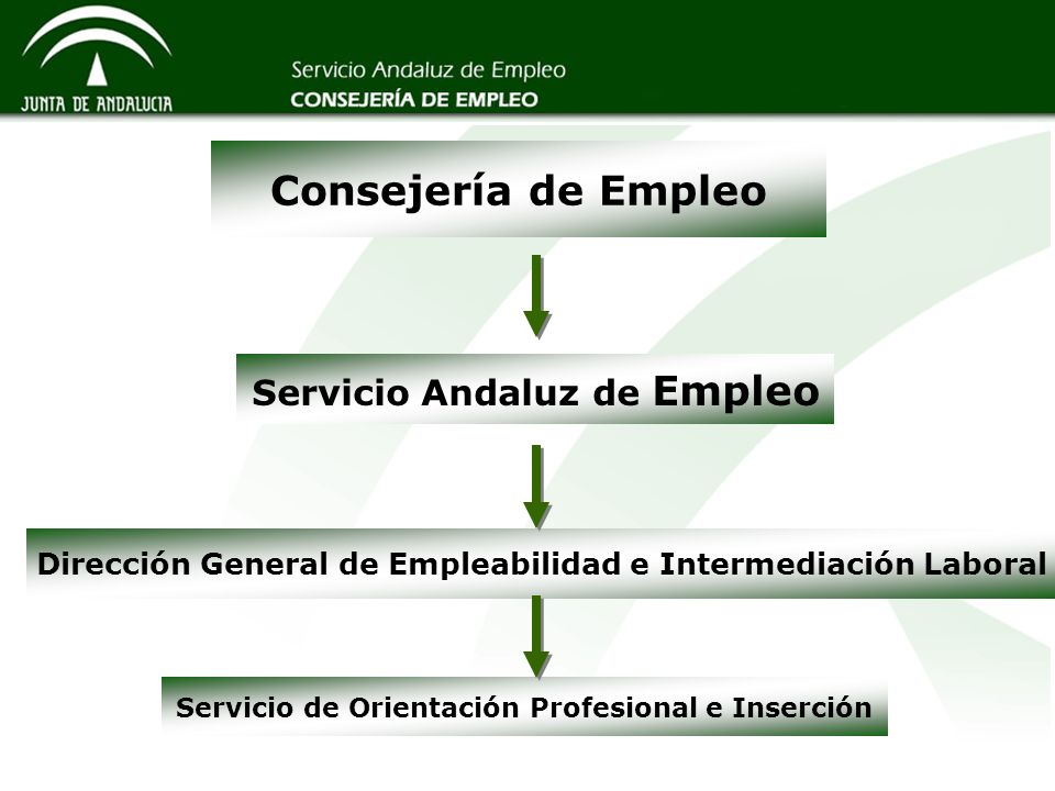 Consejería de Empleo Servicio Andaluz de Empleo