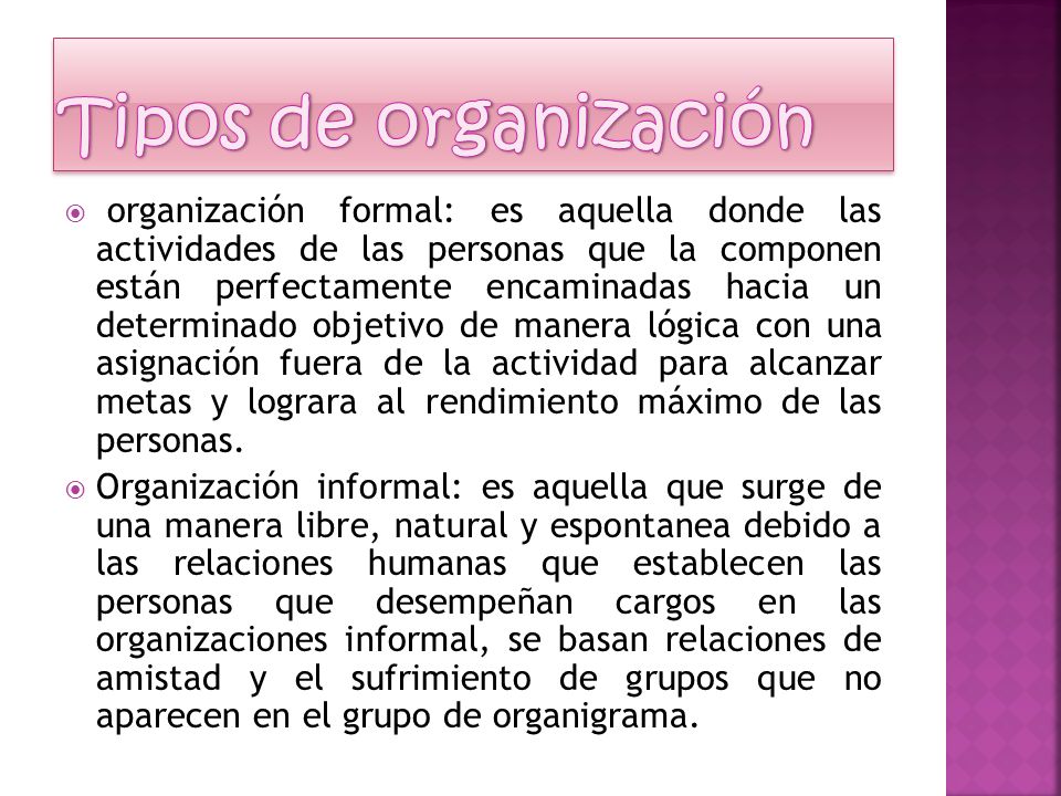 Tipos de organización