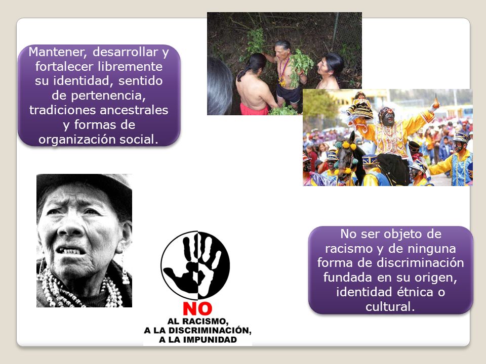 Mantener, desarrollar y fortalecer libremente su identidad, sentido de pertenencia, tradiciones ancestrales y formas de organización social.