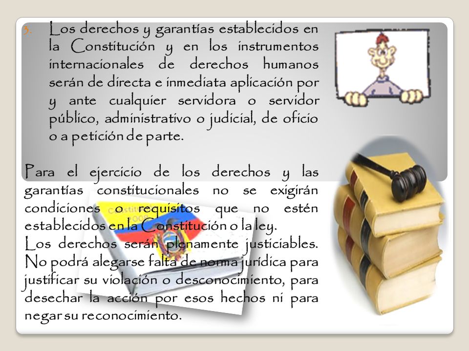 Los derechos y garantías establecidos en la Constitución y en los instrumentos internacionales de derechos humanos serán de directa e inmediata aplicación por y ante cualquier servidora o servidor público, administrativo o judicial, de oficio o a petición de parte.