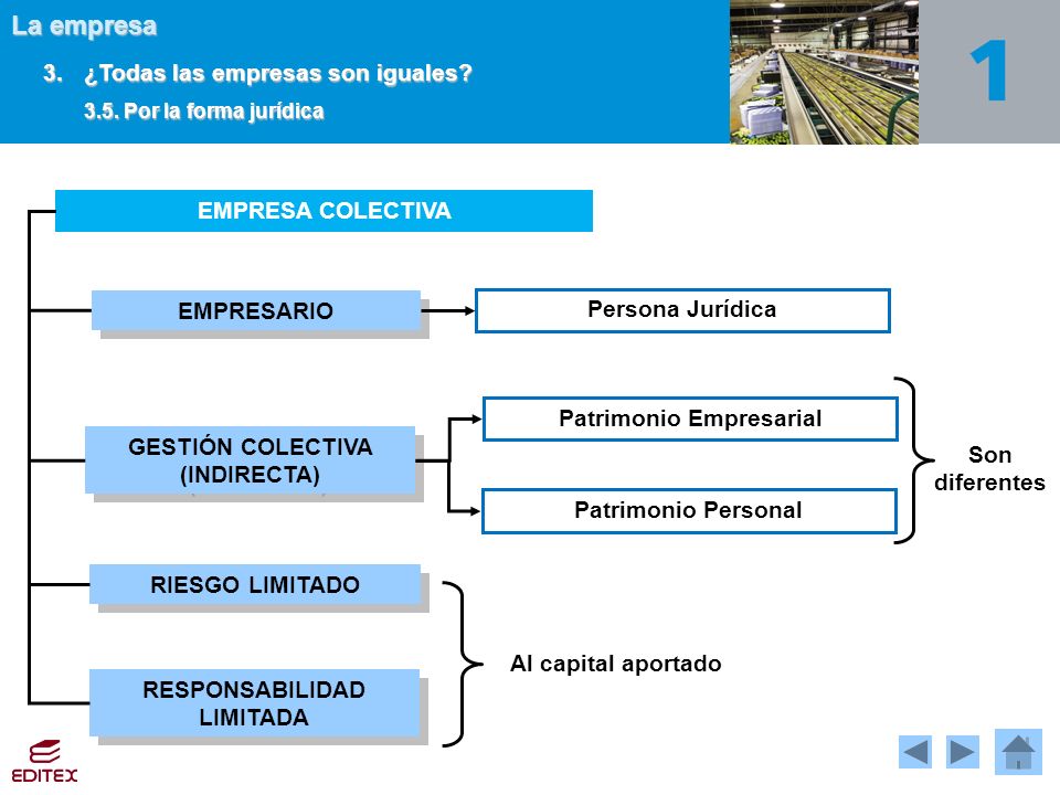 3. ¿Todas las empresas son iguales 3.5. Por la forma jurídica