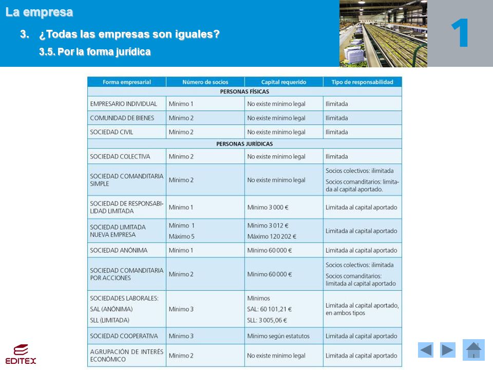 3. ¿Todas las empresas son iguales 3.5. Por la forma jurídica