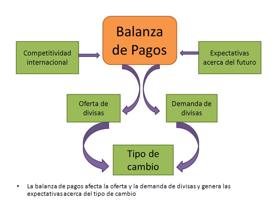 Balanza de Pagos Tipo de cambio Competitividad internacional
