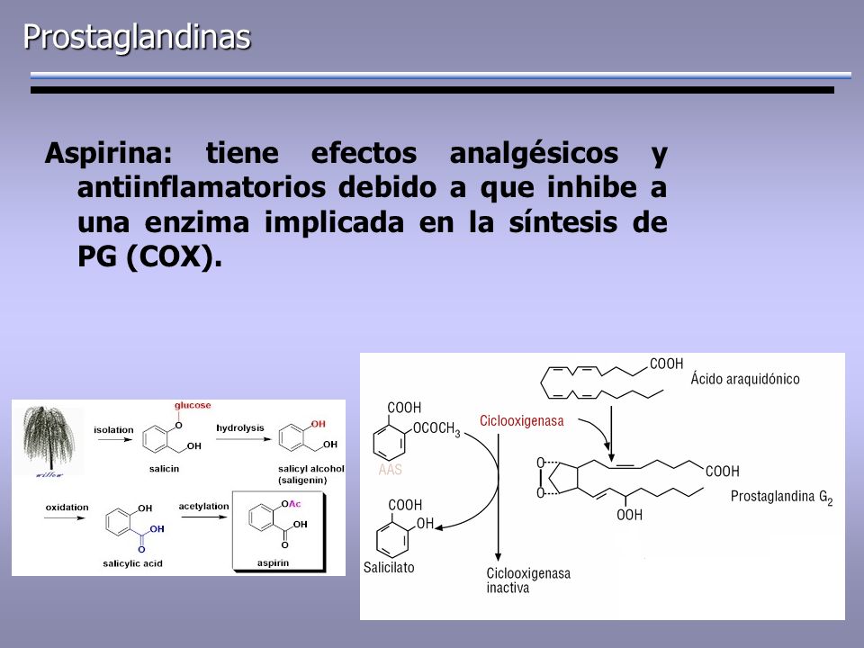 Prostaglandinas Aspirina: tiene efectos analgésicos y antiinflamatorios debido a que inhibe a una enzima implicada en la síntesis de PG (COX).