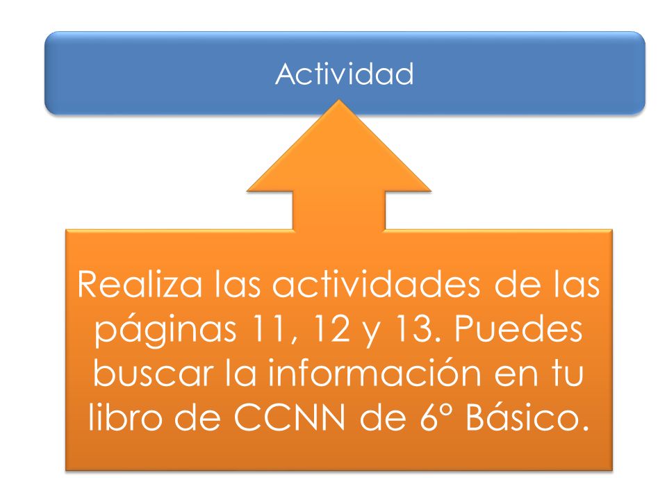 Actividad Realiza las actividades de las páginas 11, 12 y 13.