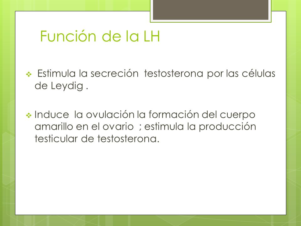 Función de la LH Estimula la secreción testosterona por las células de Leydig .