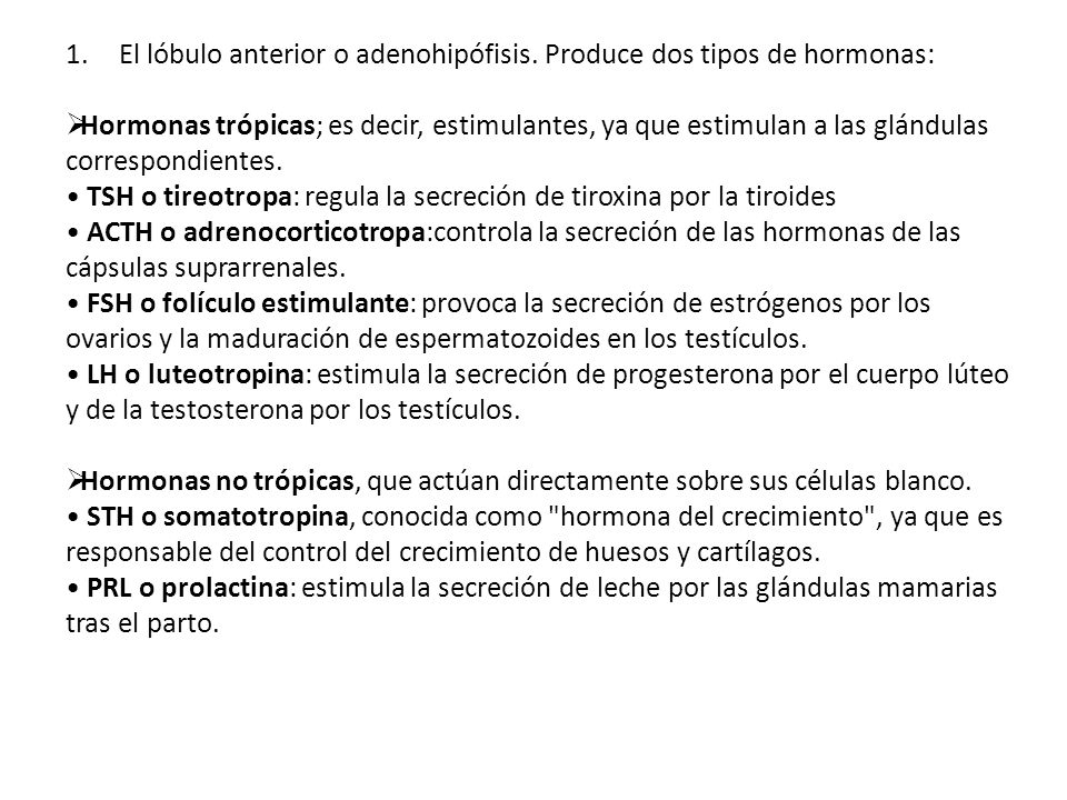 El lóbulo anterior o adenohipófisis. Produce dos tipos de hormonas: