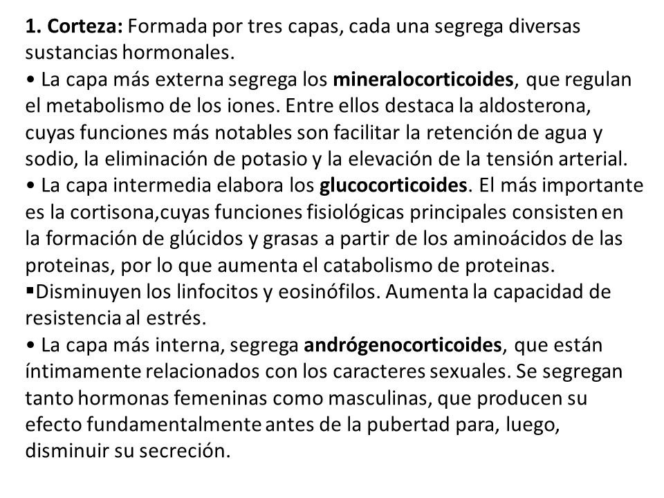 1. Corteza: Formada por tres capas, cada una segrega diversas sustancias hormonales.