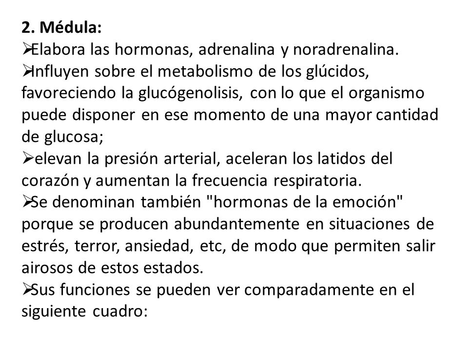 2. Médula: Elabora las hormonas, adrenalina y noradrenalina.