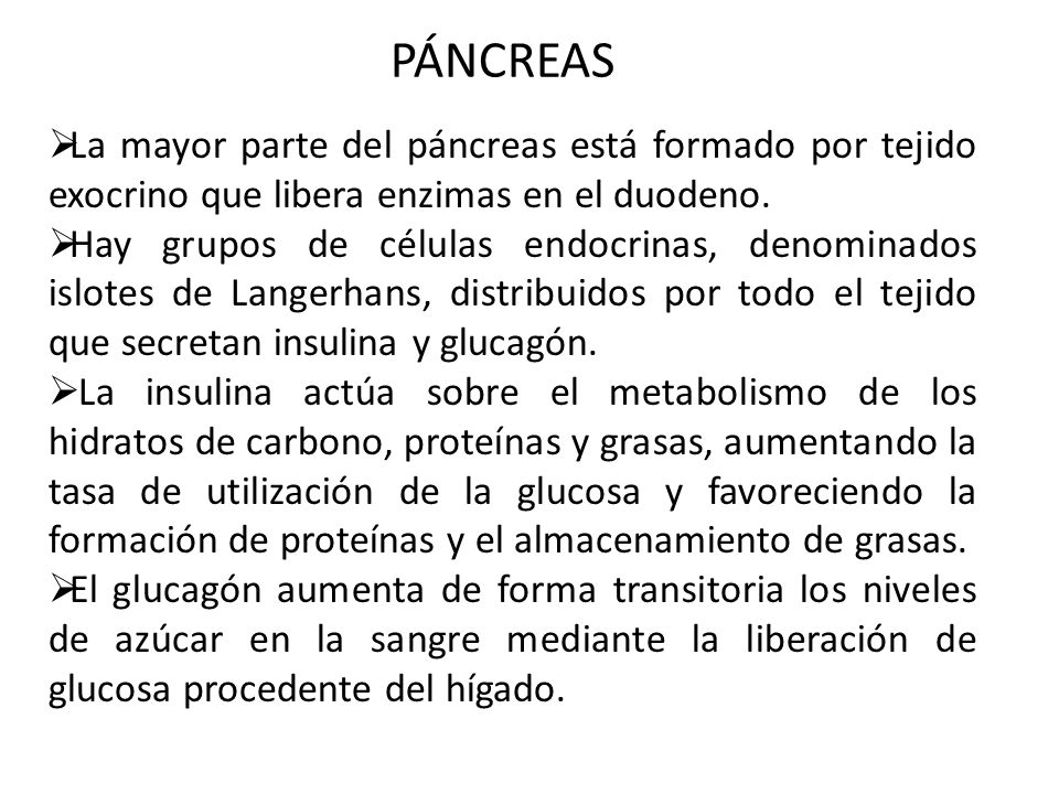 PÁNCREAS La mayor parte del páncreas está formado por tejido exocrino que libera enzimas en el duodeno.