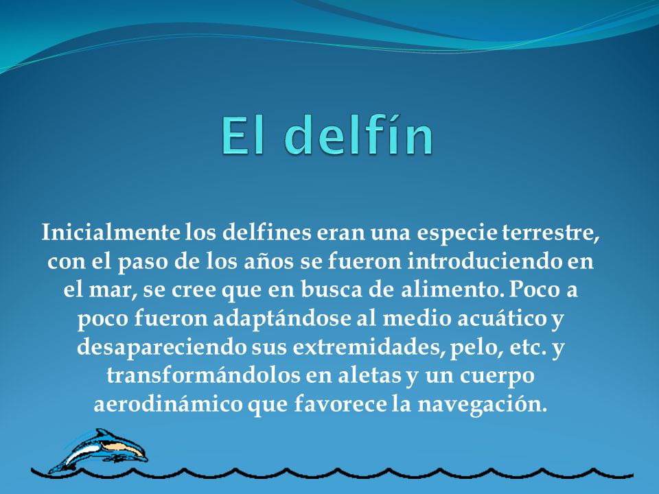 El delfín