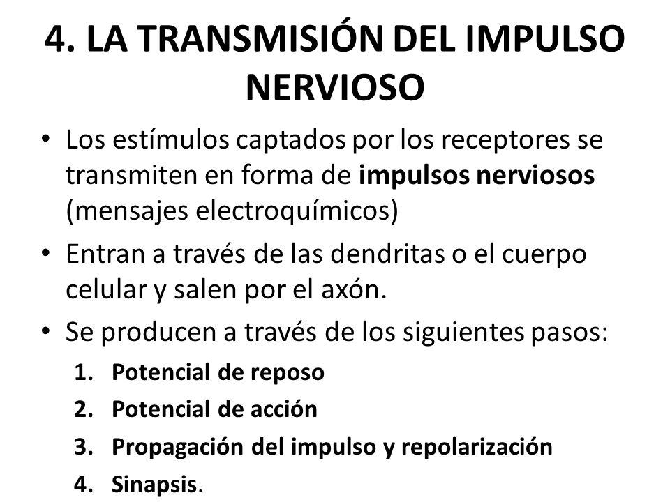 4. LA TRANSMISIÓN DEL IMPULSO NERVIOSO
