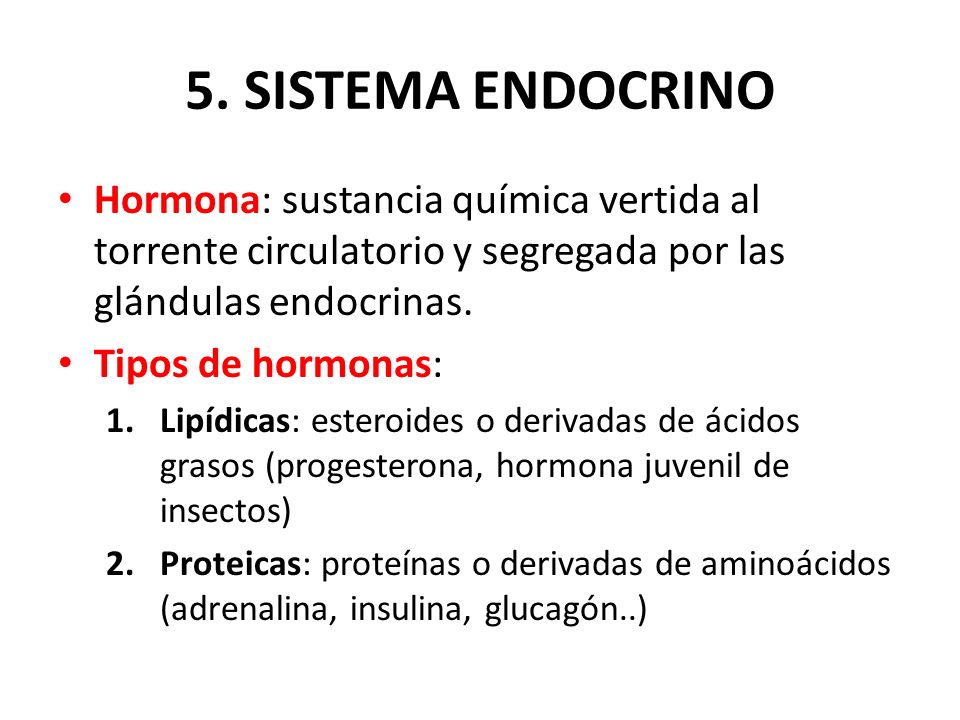 5. SISTEMA ENDOCRINO Hormona: sustancia química vertida al torrente circulatorio y segregada por las glándulas endocrinas.