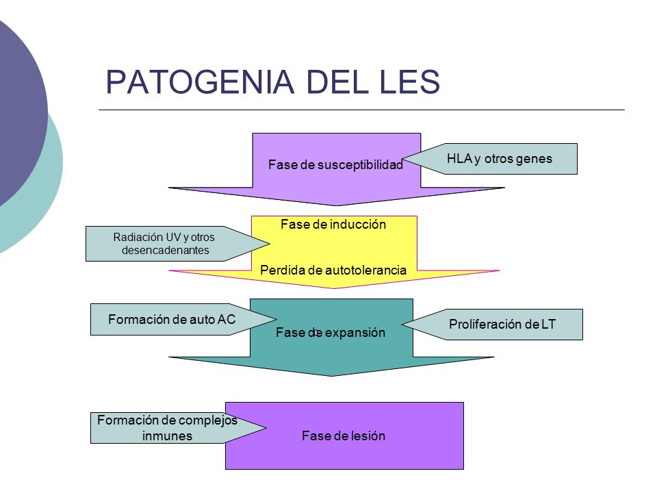 PATOGENIA DEL LES Fase de susceptibilidad HLA y otros genes