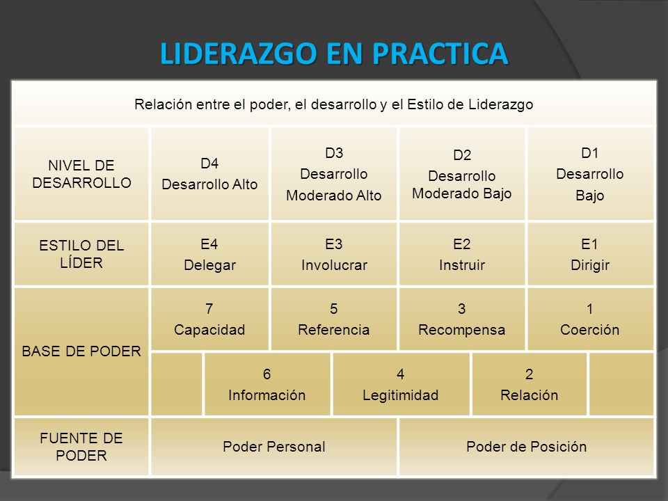 LIDERAZGO EN PRACTICA Relación entre el poder, el desarrollo y el Estilo de Liderazgo. NIVEL DE DESARROLLO.