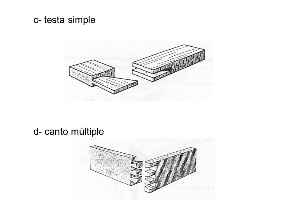 c- testa simple d- canto múltiple