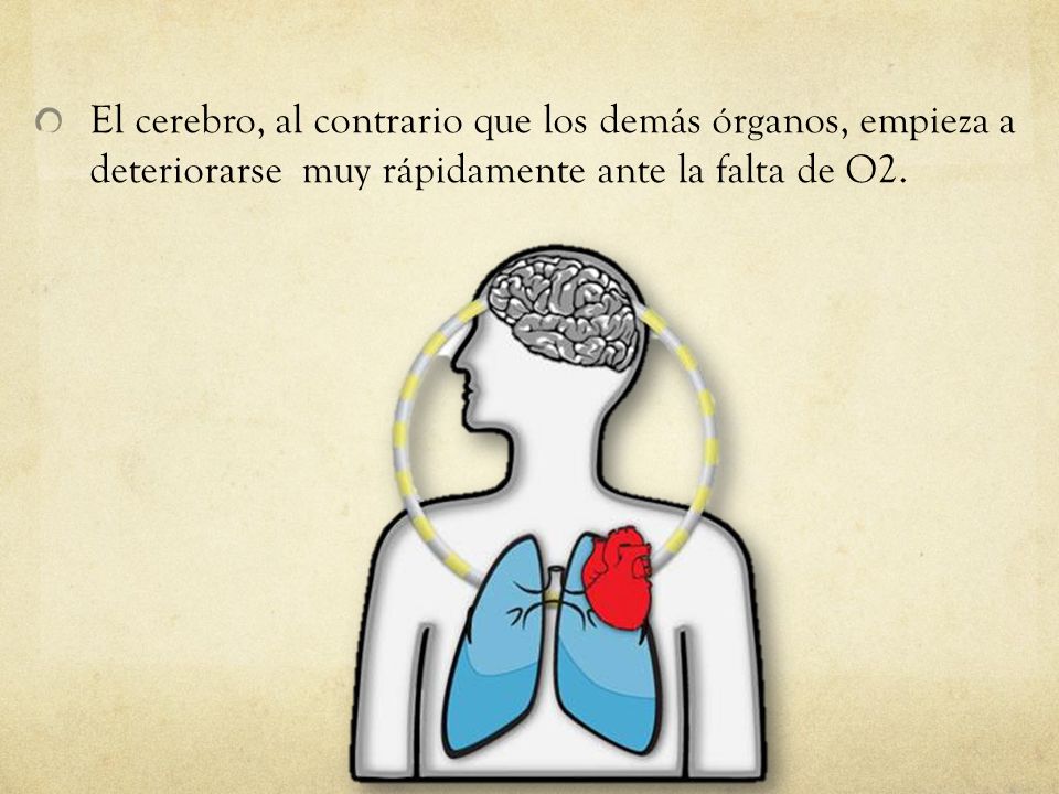 El cerebro, al contrario que los demás órganos, empieza a deteriorarse muy rápidamente ante la falta de O2.