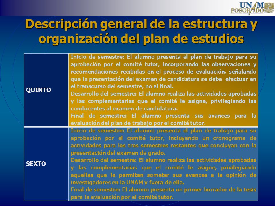 Descripción general de la estructura y organización del plan de estudios