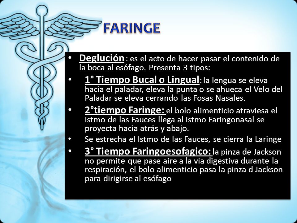FARINGE Deglución : es el acto de hacer pasar el contenido de la boca al esófago. Presenta 3 tipos: