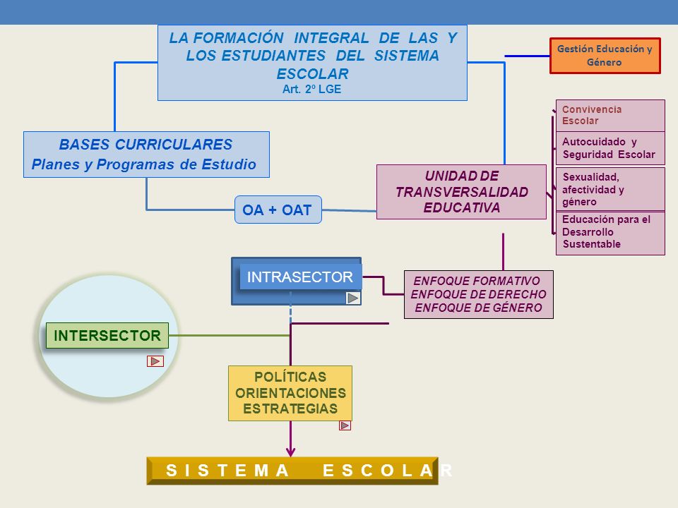 LA FORMACIÓN INTEGRAL DE LAS Y LOS ESTUDIANTES DEL SISTEMA ESCOLAR