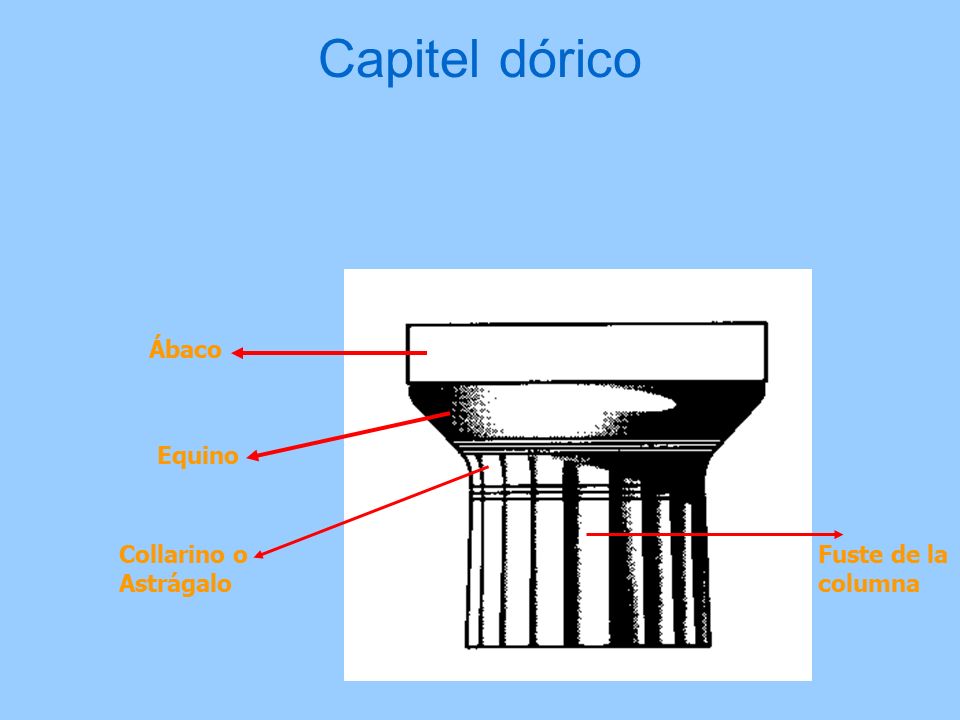 Capitel dórico Ábaco Equino Collarino o Astrágalo Fuste de la columna