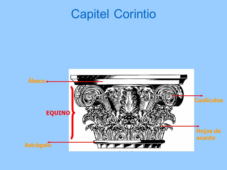 Capitel Corintio Ábaco Caulículos EQUINO Hojas de acanto Astrágalo