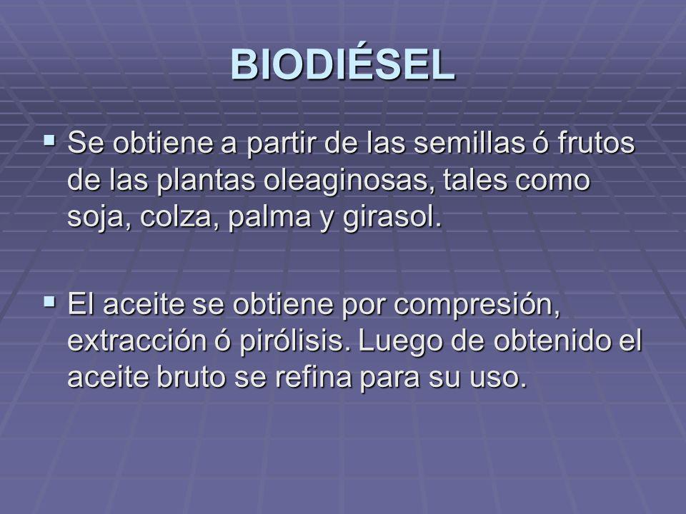 BIODIÉSEL Se obtiene a partir de las semillas ó frutos de las plantas oleaginosas, tales como soja, colza, palma y girasol.