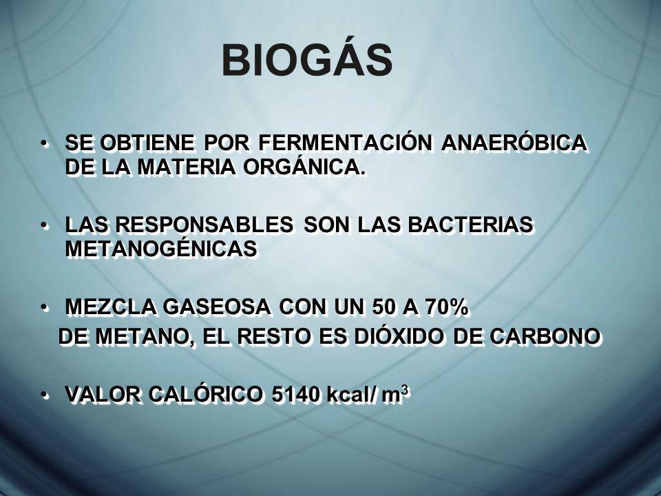 BIOGÁS SE OBTIENE POR FERMENTACIÓN ANAERÓBICA DE LA MATERIA ORGÁNICA.