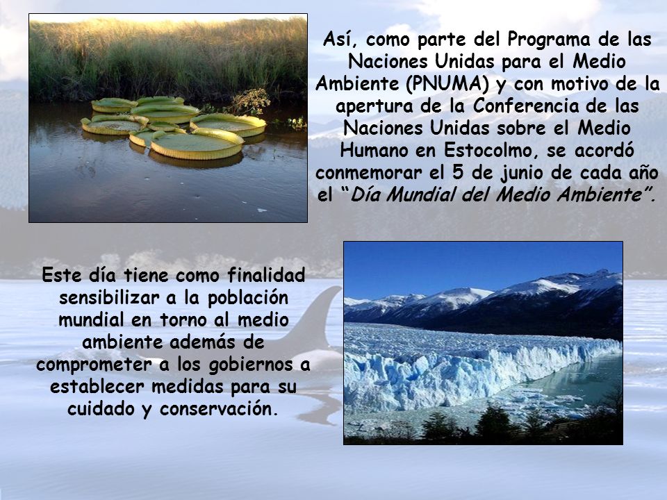 Así, como parte del Programa de las Naciones Unidas para el Medio Ambiente (PNUMA) y con motivo de la apertura de la Conferencia de las Naciones Unidas sobre el Medio Humano en Estocolmo, se acordó conmemorar el 5 de junio de cada año el Día Mundial del Medio Ambiente .