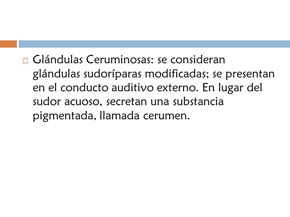 Glándulas Ceruminosas: se consideran glándulas sudoríparas modificadas; se presentan en el conducto auditivo externo.