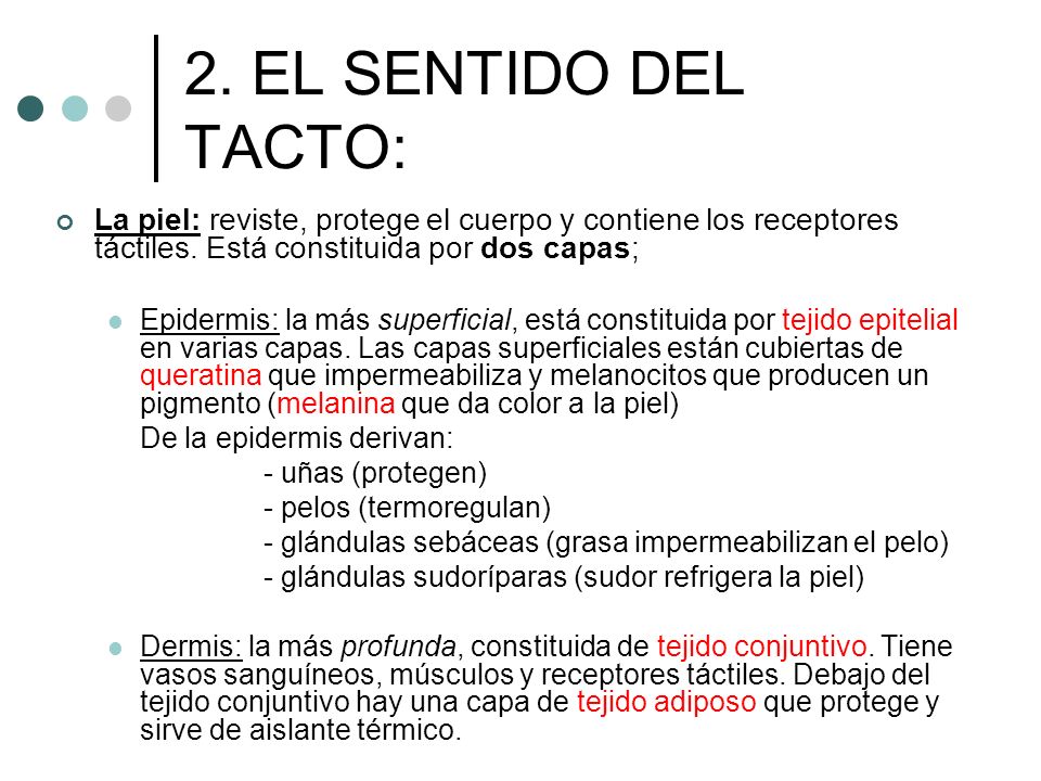 2. EL SENTIDO DEL TACTO: La piel: reviste, protege el cuerpo y contiene los receptores táctiles. Está constituida por dos capas;