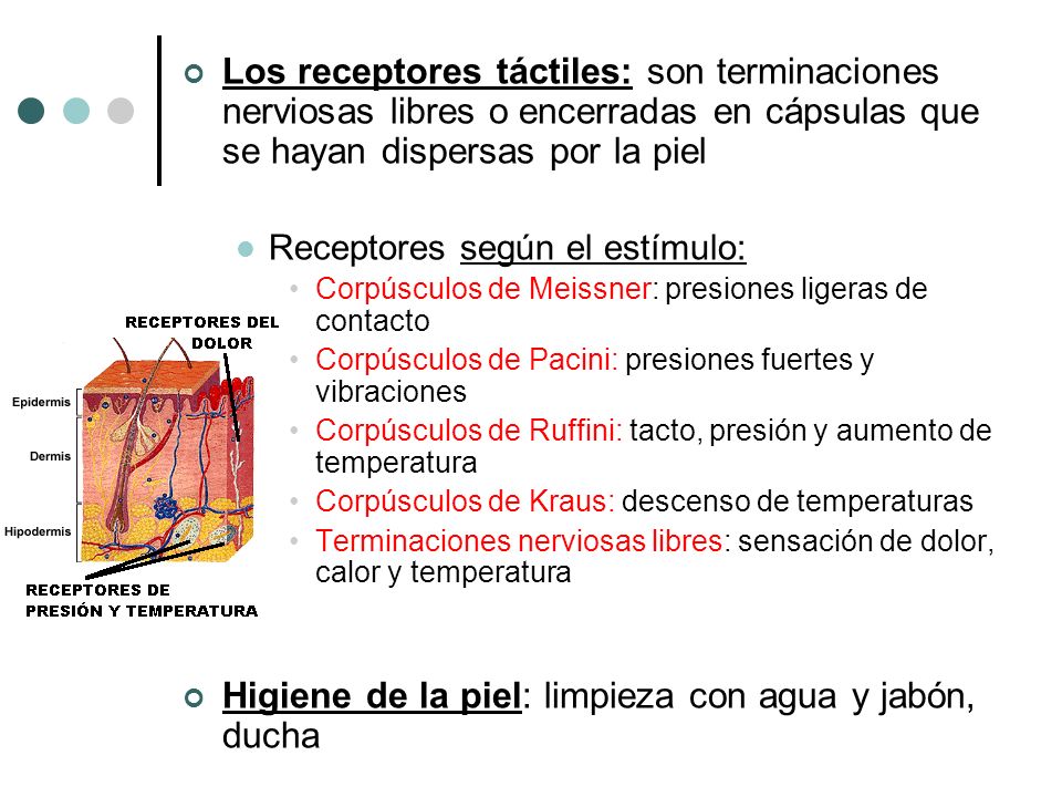 Higiene de la piel: limpieza con agua y jabón, ducha