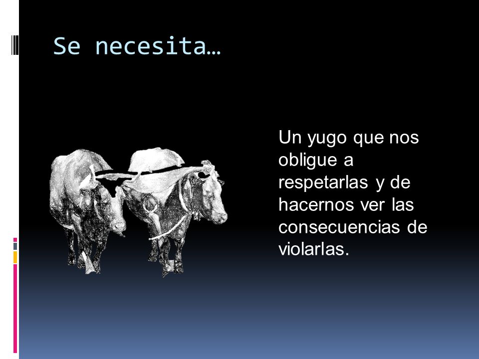 Se necesita… Un yugo que nos obligue a respetarlas y de hacernos ver las consecuencias de violarlas.