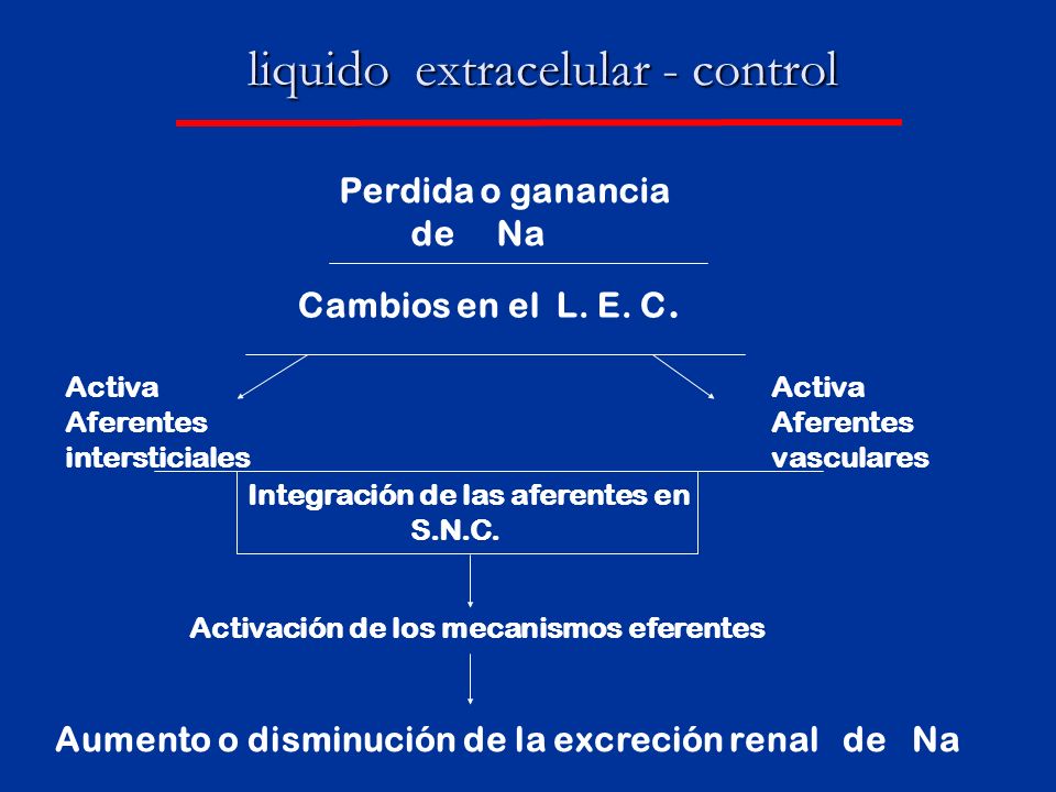 liquido extracelular - control