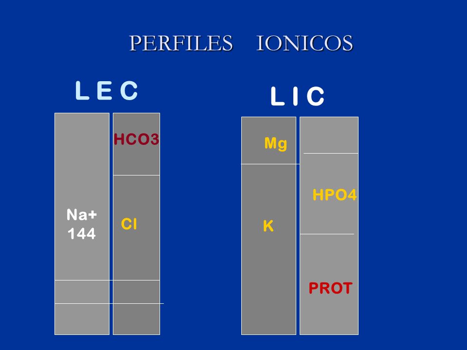 PERFILES IONICOS L E C L I C Na+ 144 K HCO3 Mg HPO4 Cl PROT