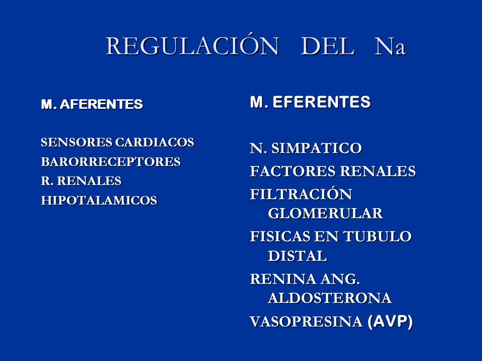 REGULACIÓN DEL Na M. EFERENTES N. SIMPATICO FACTORES RENALES
