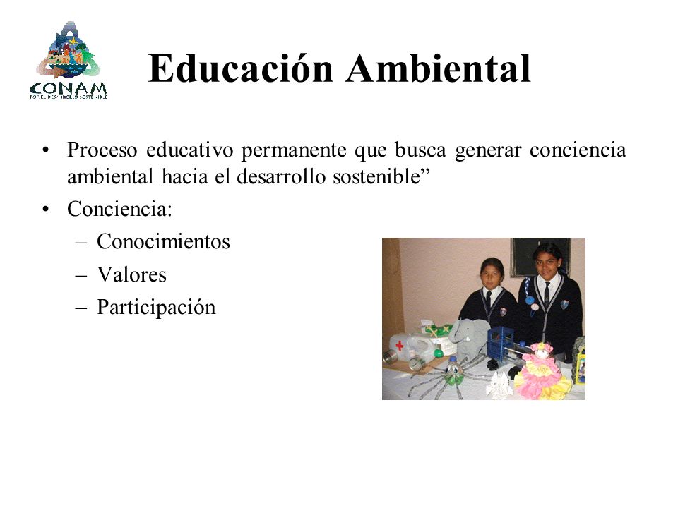 Educación Ambiental Proceso educativo permanente que busca generar conciencia ambiental hacia el desarrollo sostenible