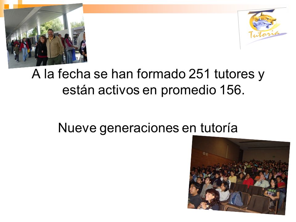 A la fecha se han formado 251 tutores y están activos en promedio 156.