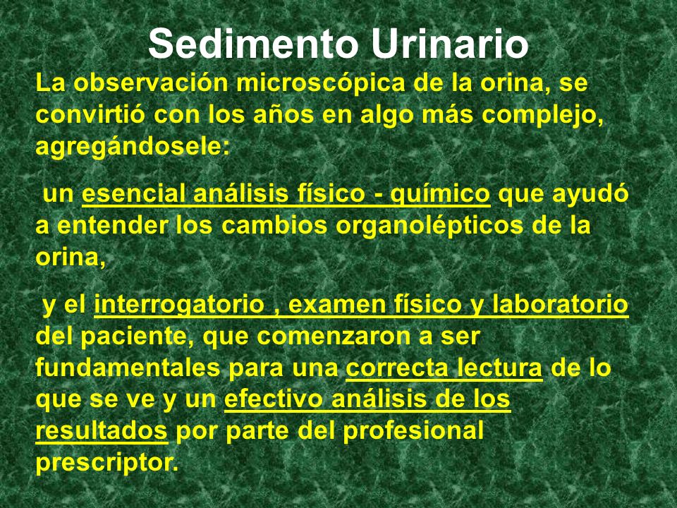 Sedimento Urinario La observación microscópica de la orina, se convirtió con los años en algo más complejo, agregándosele: