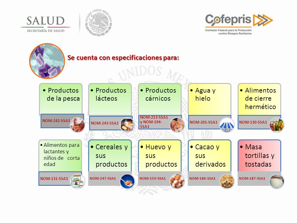Cereales y sus productos Huevo y sus productos Cacao y sus derivados